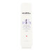 Goldwell Dualsenses Just Smooth Taming Shampoo 250 ml