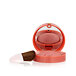 Bourjois Paris Blush 2,5 g