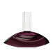 Calvin Klein Euphoria for Women Eau de Parfum (Femme) 50 ml