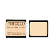15 Summer Apricot