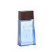 Lolita Lempicka Lempicka Homme Eau de Toilette (Homme) 100 ml