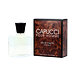 Roberto Capucci Capucci Pour Homme Eau de Toilette (Homme) 100 ml