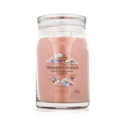 Yankee Candle Bougie parfumée Praline & Birch 567 g