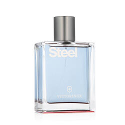 Victorinox Swiss Army Steel Eau de Toilette (Homme) 100 ml
