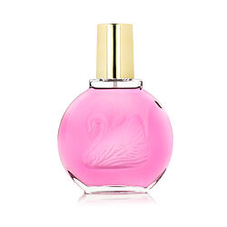 Gloria Vanderbilt Minuit à New York Eau de Parfum (Femme) 100 ml