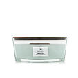 WoodWick Ellipse Candles Bougie parfumée 453,6 g - Magnolia Birch