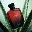 Rasasi Hawas Fire Eau de Parfum (Homme) 100 ml