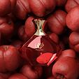 Afnan Turathi Femme Red Eau de Parfum (Femme) 90 ml