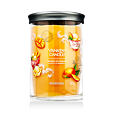 Yankee Candle Signature Tumbler Bougie parfumée 567 g - Mango Ice Cream